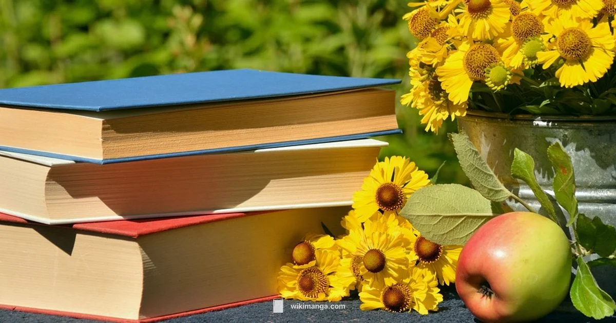 What Manga Means - WikiManga.