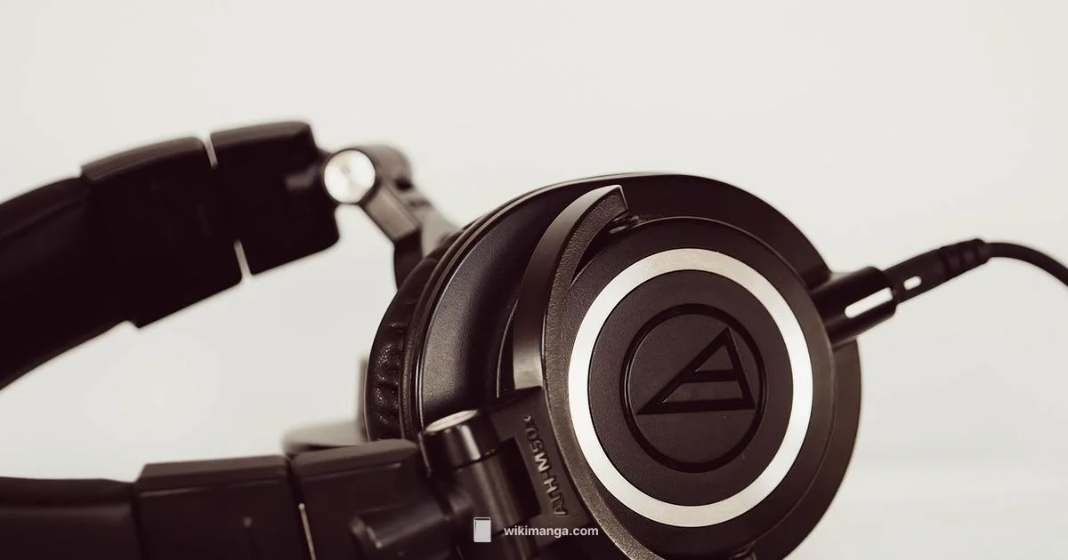 Audio Manga Guide - WikiManga.