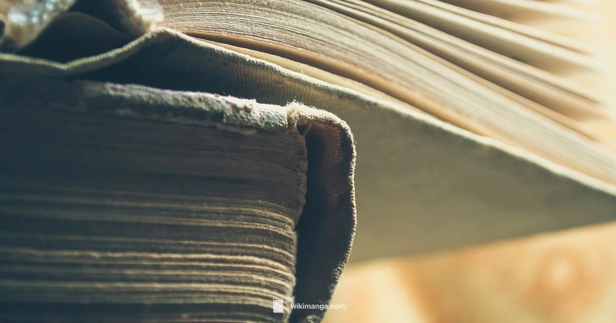 Best Manga Guide 2026 - WikiManga.