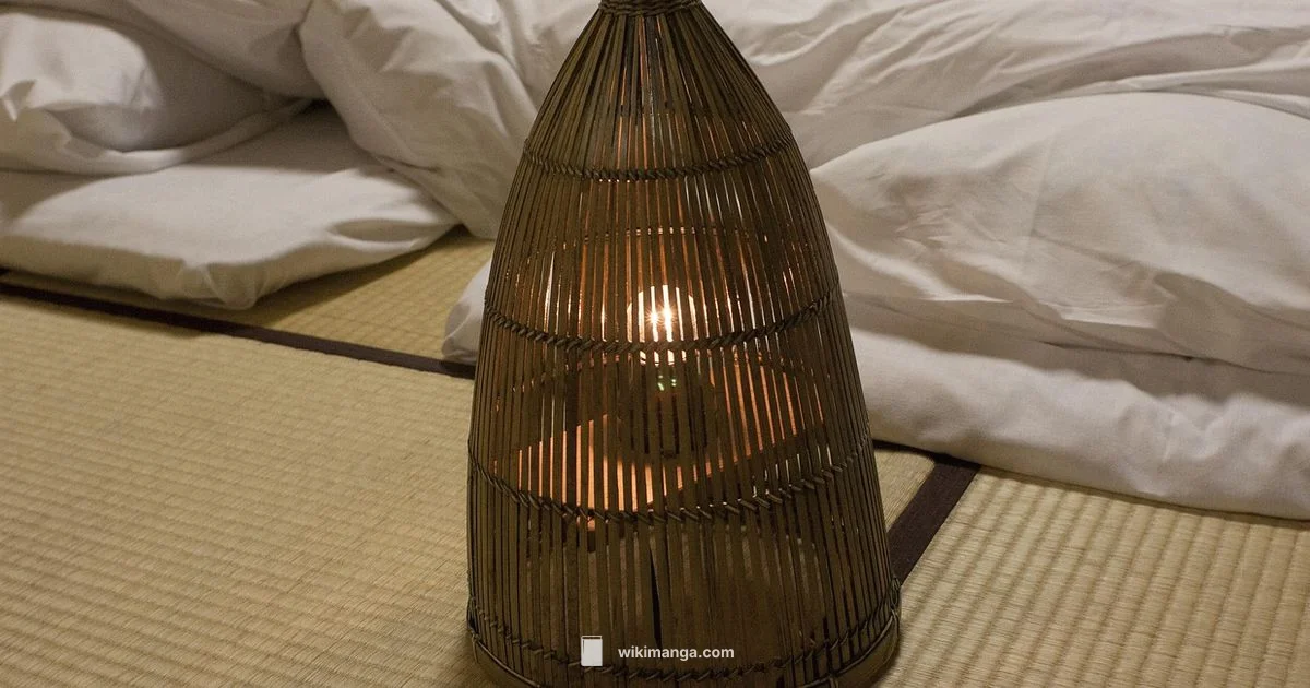 Manga vs Graphic Novel - WikiManga.