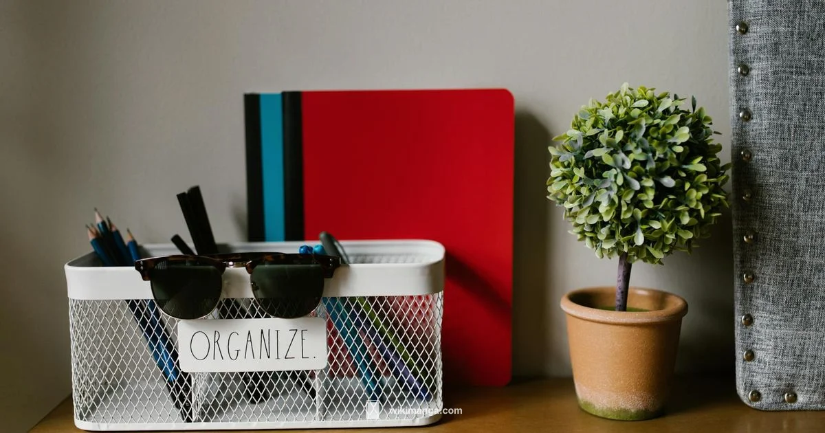 Kuroko No Basket Guide - WikiManga.