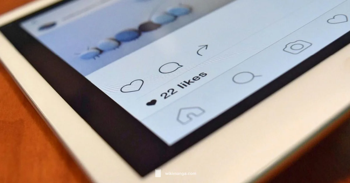 MangaDex Guide - WikiManga.