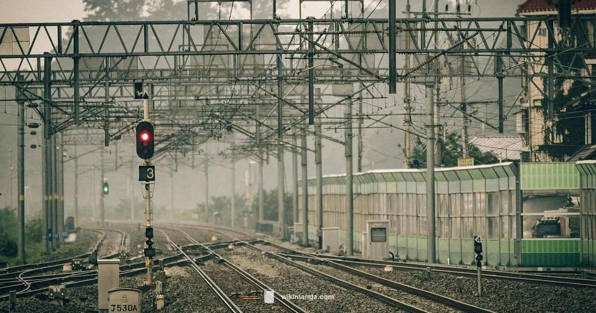 Offline Manga Guide - WikiManga.