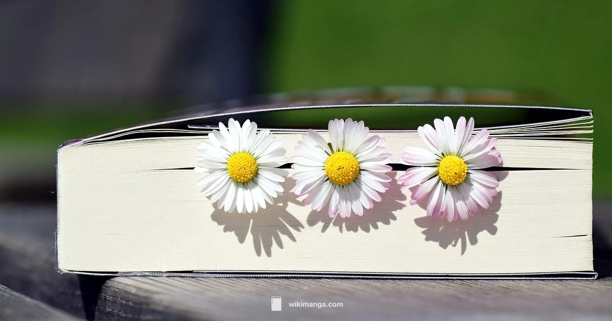 Is the manga finished - WikiManga.