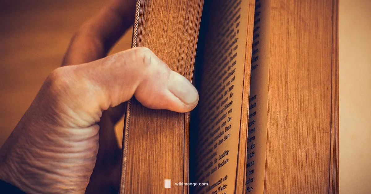 Berserk Size Guide - WikiManga.