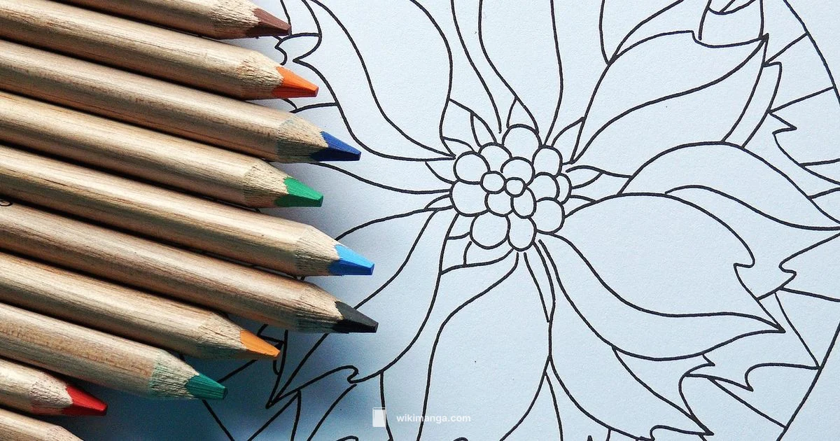 English Manga Guide - WikiManga.