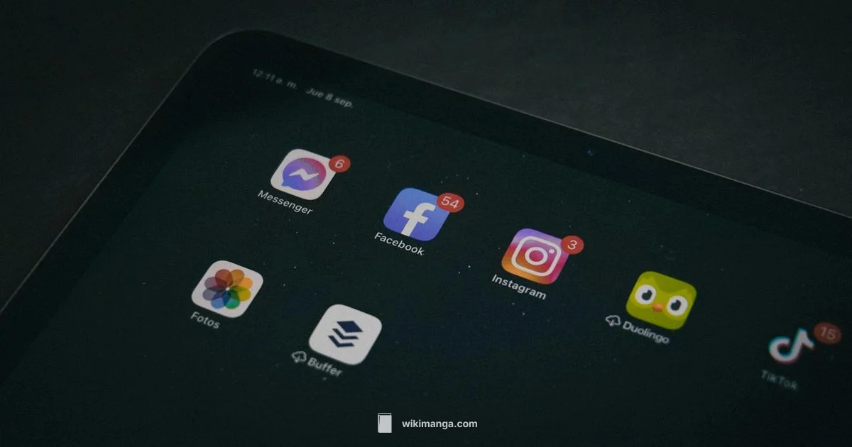 Manga Troubleshooting - WikiManga.