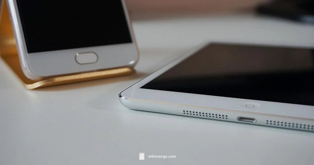 Manga Reader Fix - WikiManga.