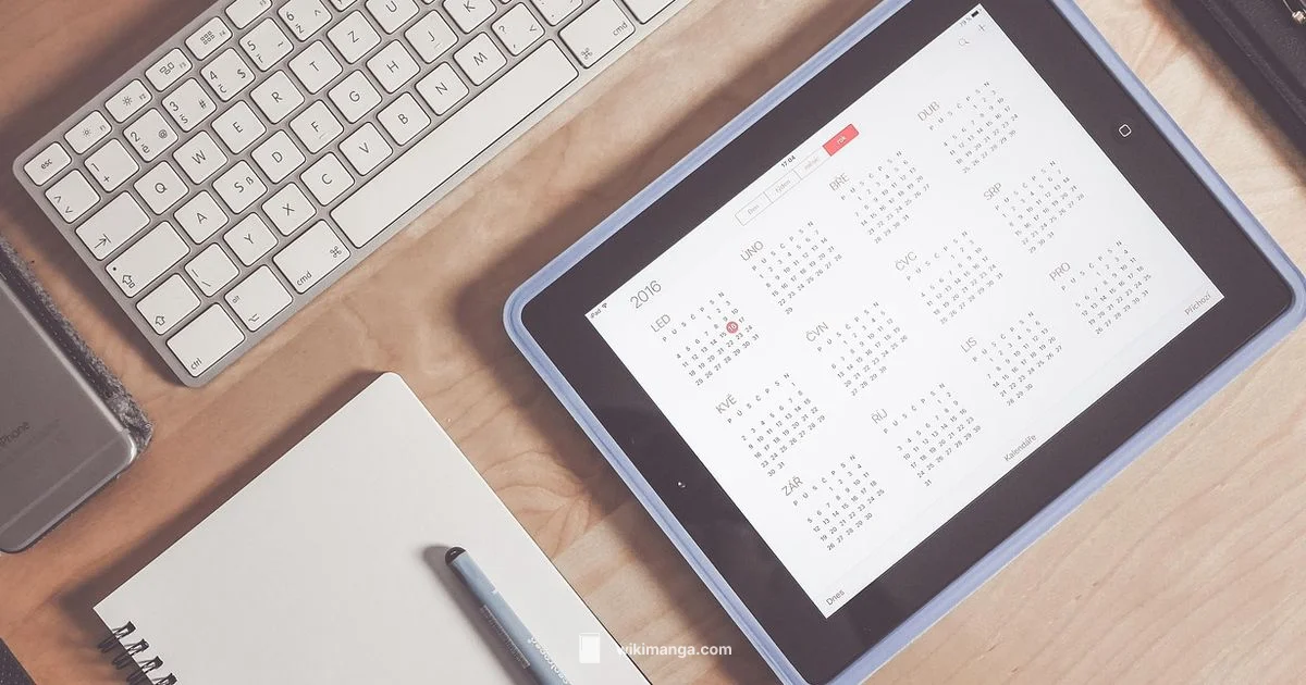 One Piece Timeline - WikiManga.