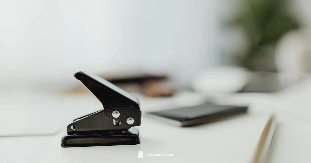 One Punch Man Reading Guide - WikiManga.